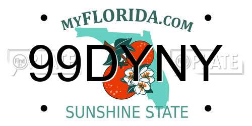 99DYNY Florida License Plate