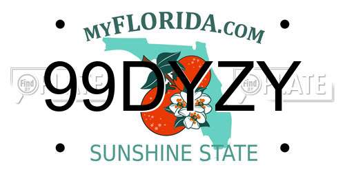 99DYZY Florida License Plate
