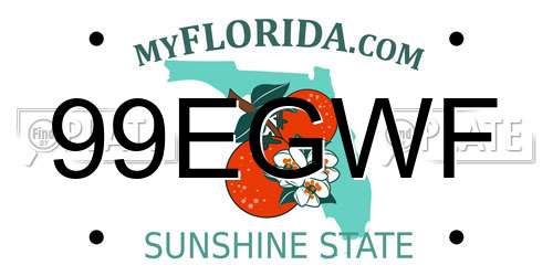 99EGWF Florida License Plate