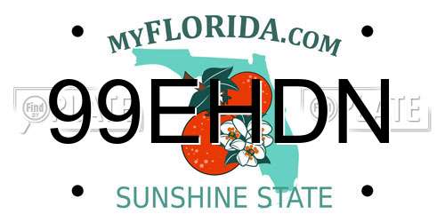 99EHDN Florida License Plate