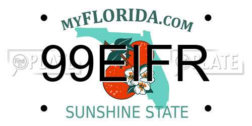 99EIFR Florida License Plate