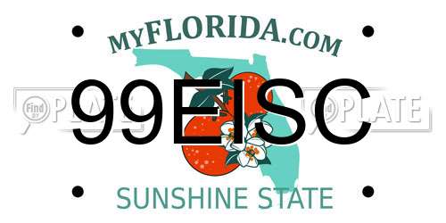 99EISC Florida License Plate