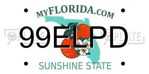 99ELPD Florida License Plate