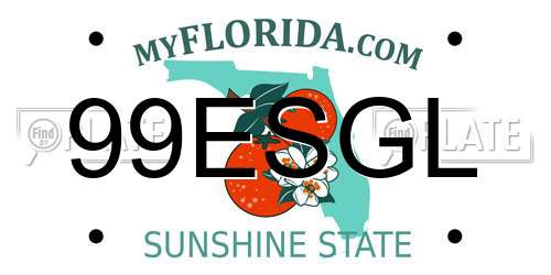 99ESGL Florida License Plate