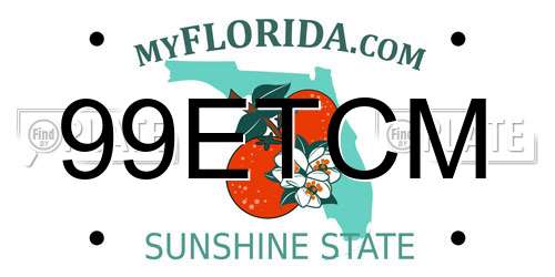 99ETCM Florida License Plate