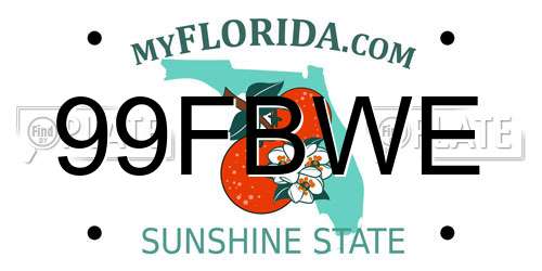99FBWE Florida License Plate