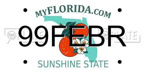 99FEBR Florida License Plate