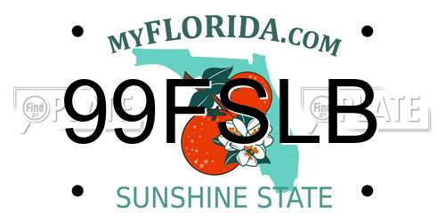 99FSLB Florida License Plate