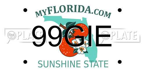 99GIE Florida License Plate