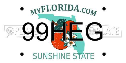 99HEG Florida License Plate