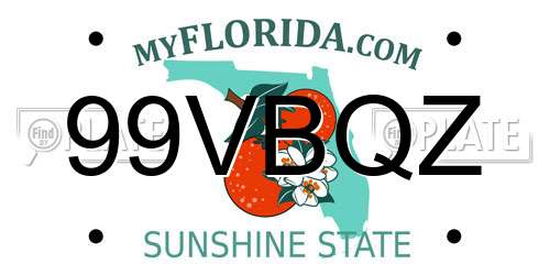 99VBQZ Florida License Plate
