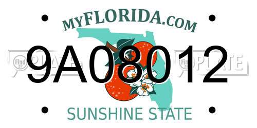 9A08012 Florida License Plate