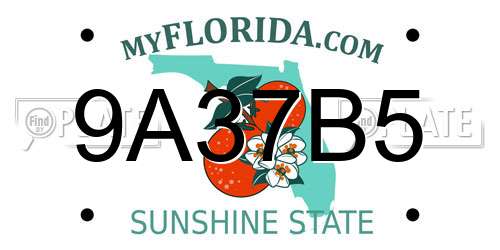 9A37B5 Florida License Plate