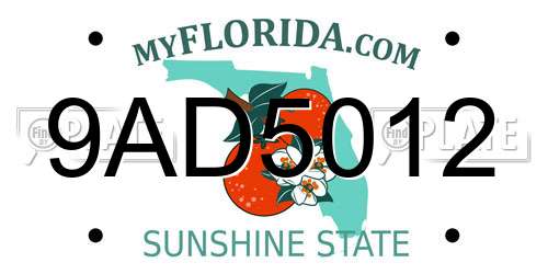 9AD5012 Florida License Plate