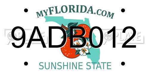 9ADB012 Florida License Plate