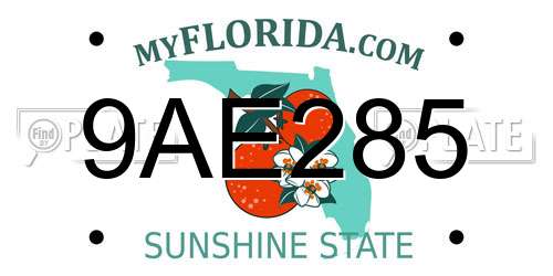 9AE285 Florida License Plate