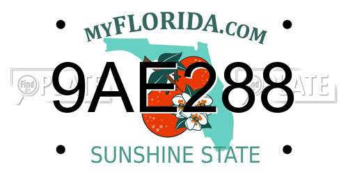9AE288 Florida License Plate