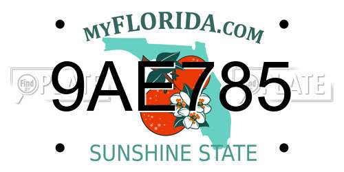 9AE785 Florida License Plate