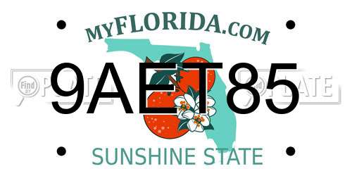 9AET85 Florida License Plate