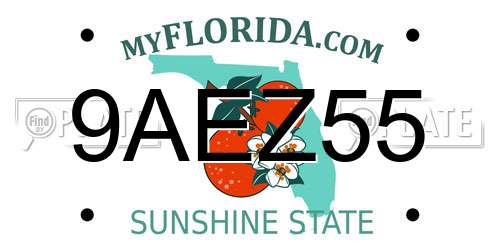 9AEZ55 Florida License Plate