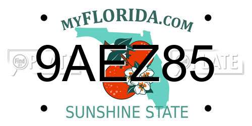 9AEZ85 Florida License Plate