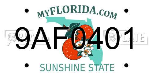 9AF0401 Florida License Plate