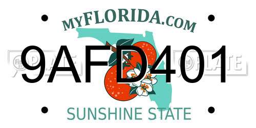 9AFD401 Florida License Plate