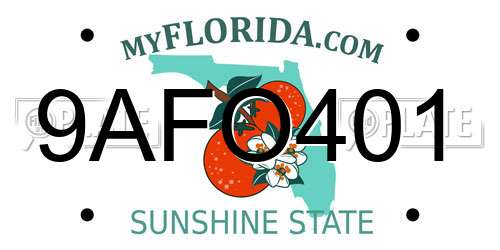 9AFO401 Florida License Plate