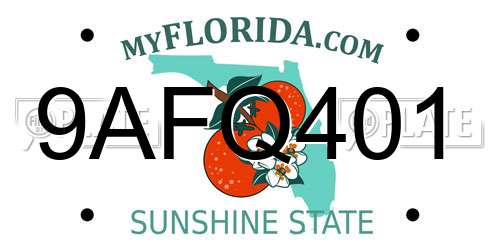9AFQ401 Florida License Plate