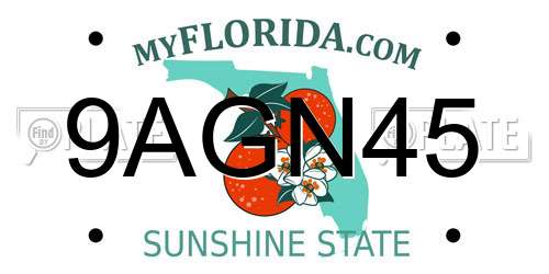 9AGN45 Florida License Plate