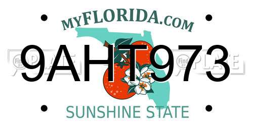 9AHT973 Florida License Plate