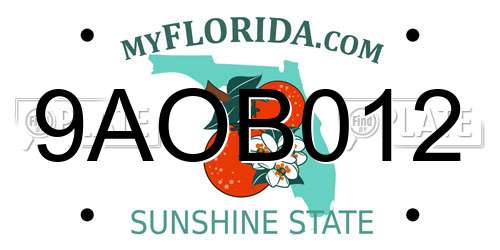 9AOB012 Florida License Plate