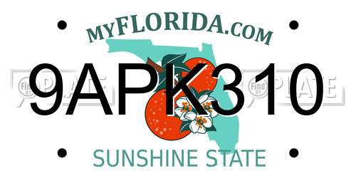 9APK310 Florida License Plate