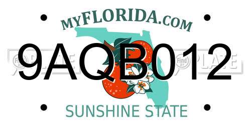 9AQB012 Florida License Plate