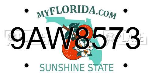 9AW8573 Florida License Plate