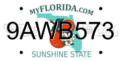 9AWB573 Florida License Plate