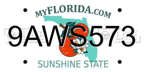 9AWS573 Florida License Plate