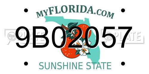 9B02057 Florida License Plate