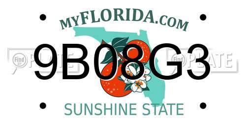 9B08G3 Florida License Plate