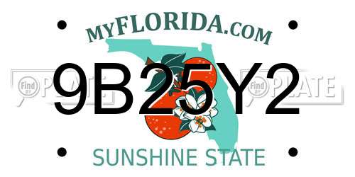 9B25Y2 Florida License Plate