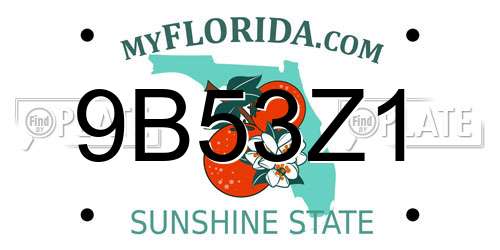 9B53Z1 Florida License Plate
