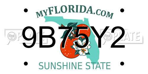 9B75Y2 Florida License Plate