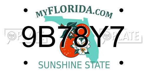 9B78Y7 Florida License Plate
