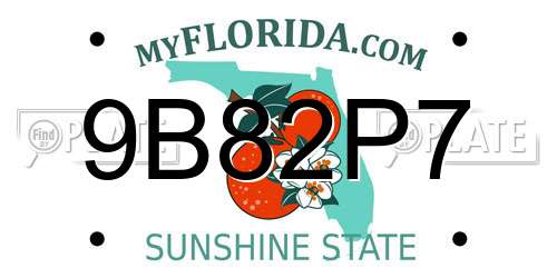 9B82P7 Florida License Plate
