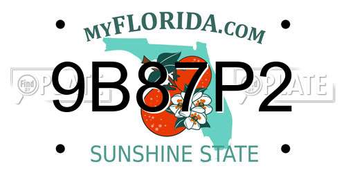 9B87P2 Florida License Plate