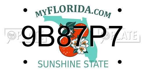 9B87P7 Florida License Plate