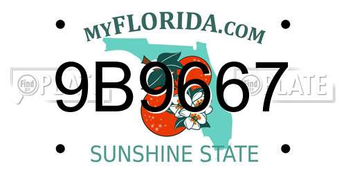 9B9667 Florida License Plate