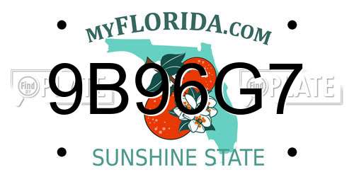 9B96G7 Florida License Plate