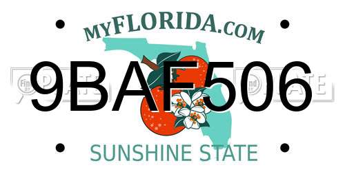 9BAF506 Florida License Plate