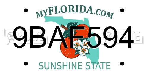 9BAF594 Florida License Plate